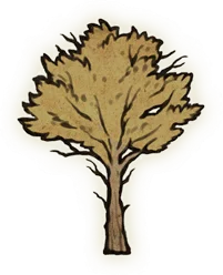 Minor Erdtrees