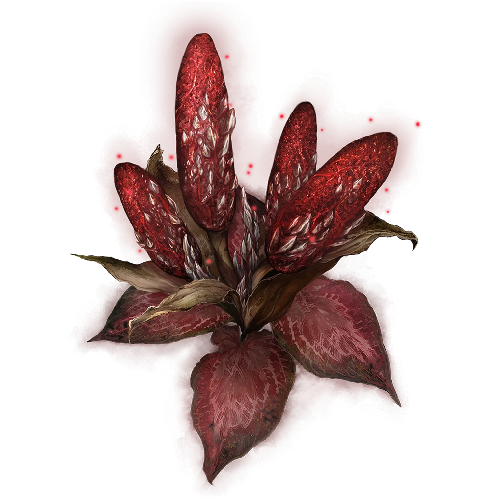 Dragon's Calorbloom
