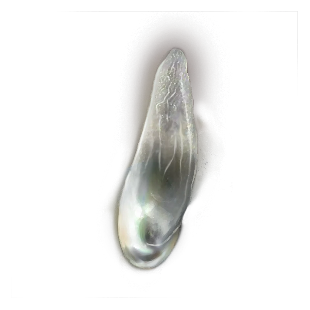 Pearlescent Scale