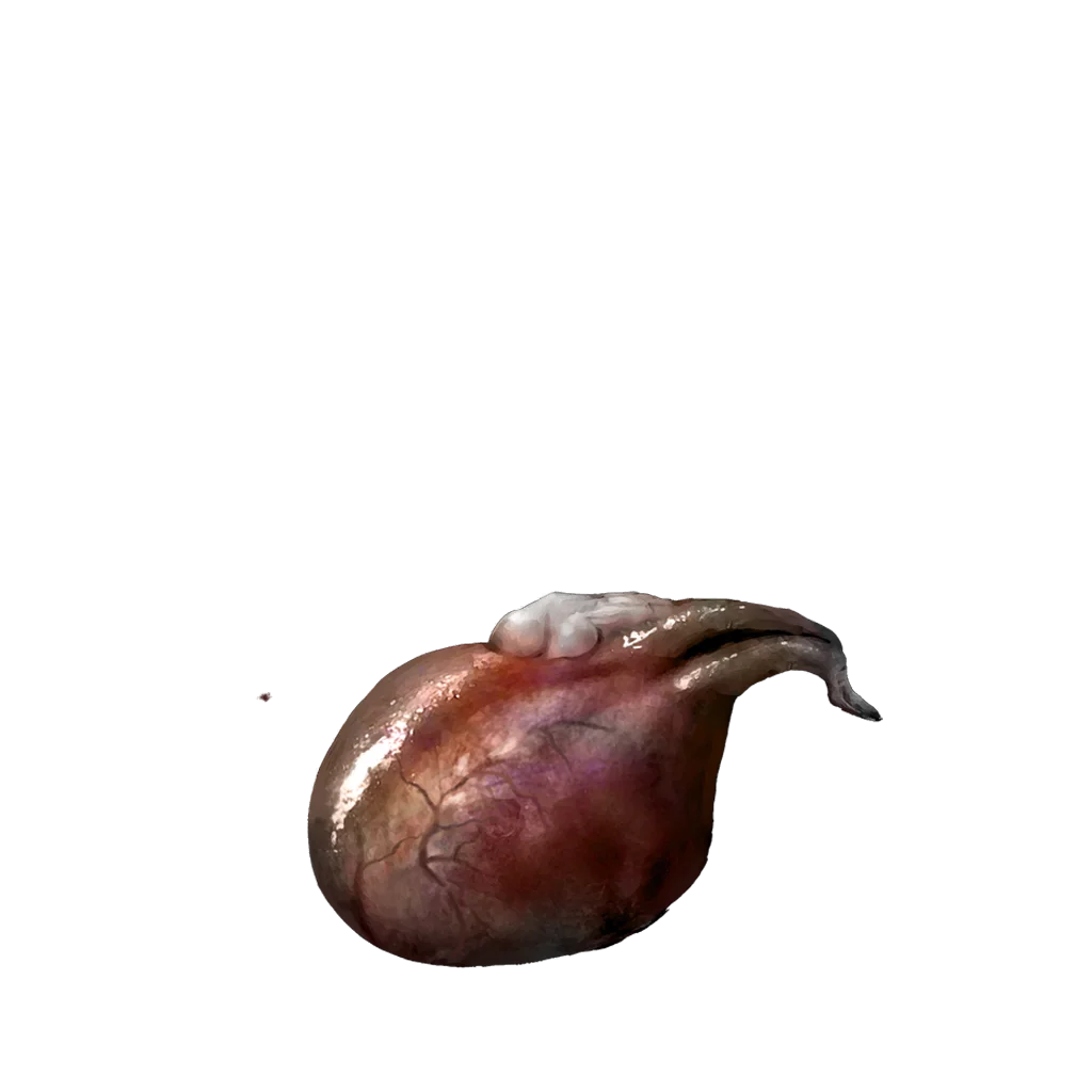Scorpion Liver