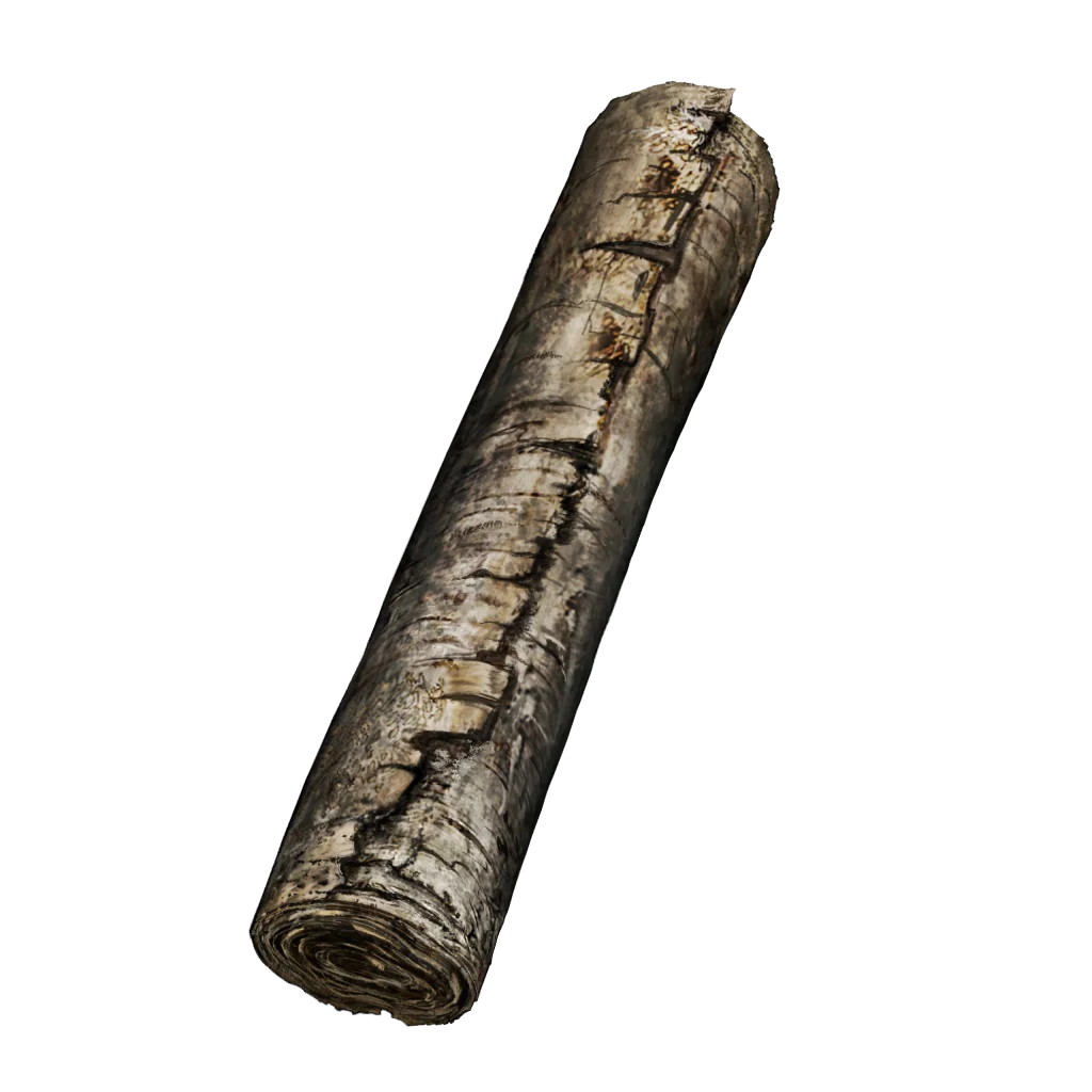 Secret Rite Scroll