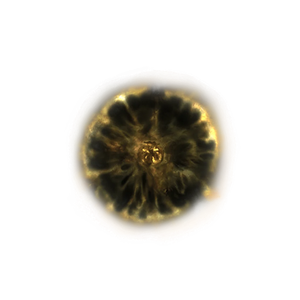 Shadow Realm Rune [4]