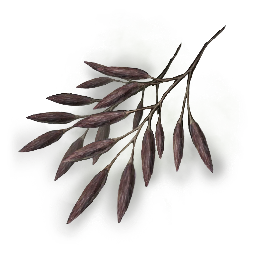 Spirit Raisin