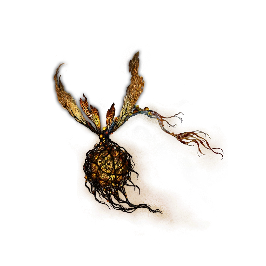 Winter-Lantern Fly