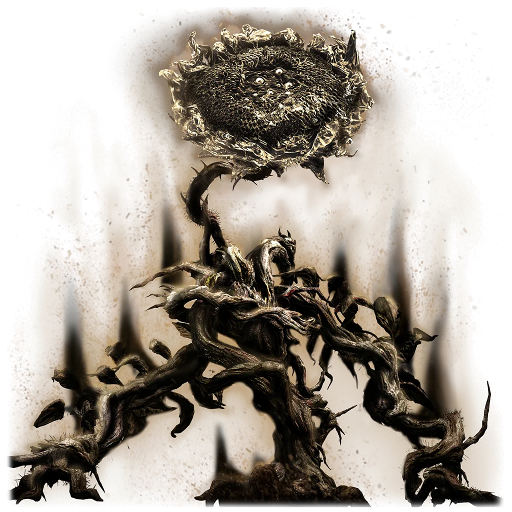 Remembrance of the Shadow Sunflower