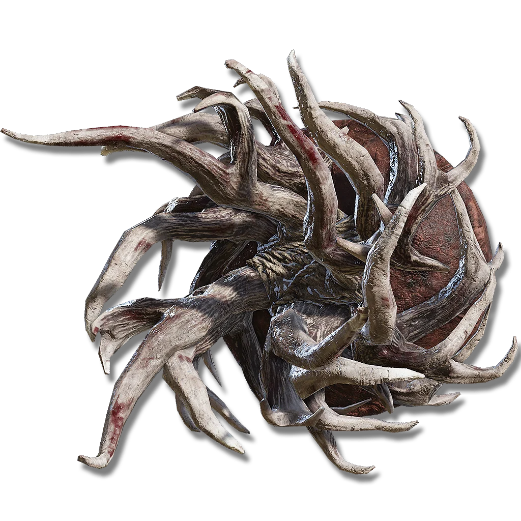 Spiralhorn Shield