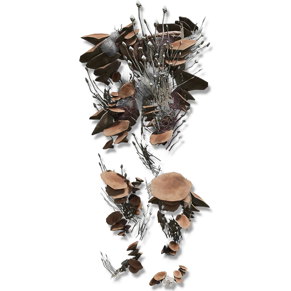 Mushroom Legs