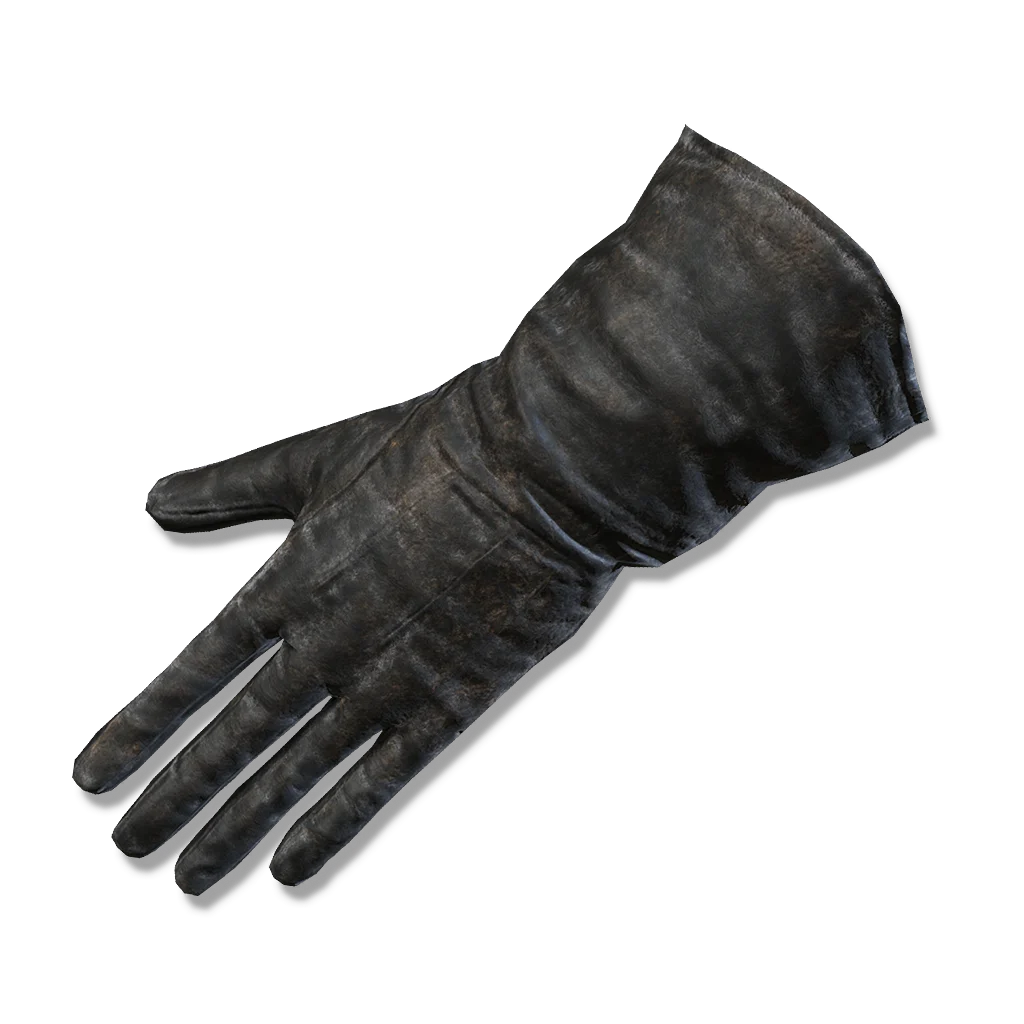 Preceptor's Gloves