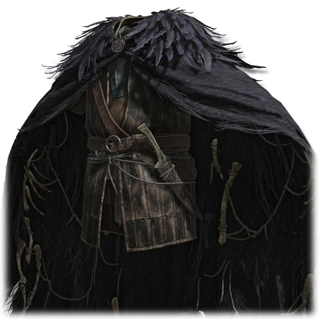 Raptor's Black Feathers