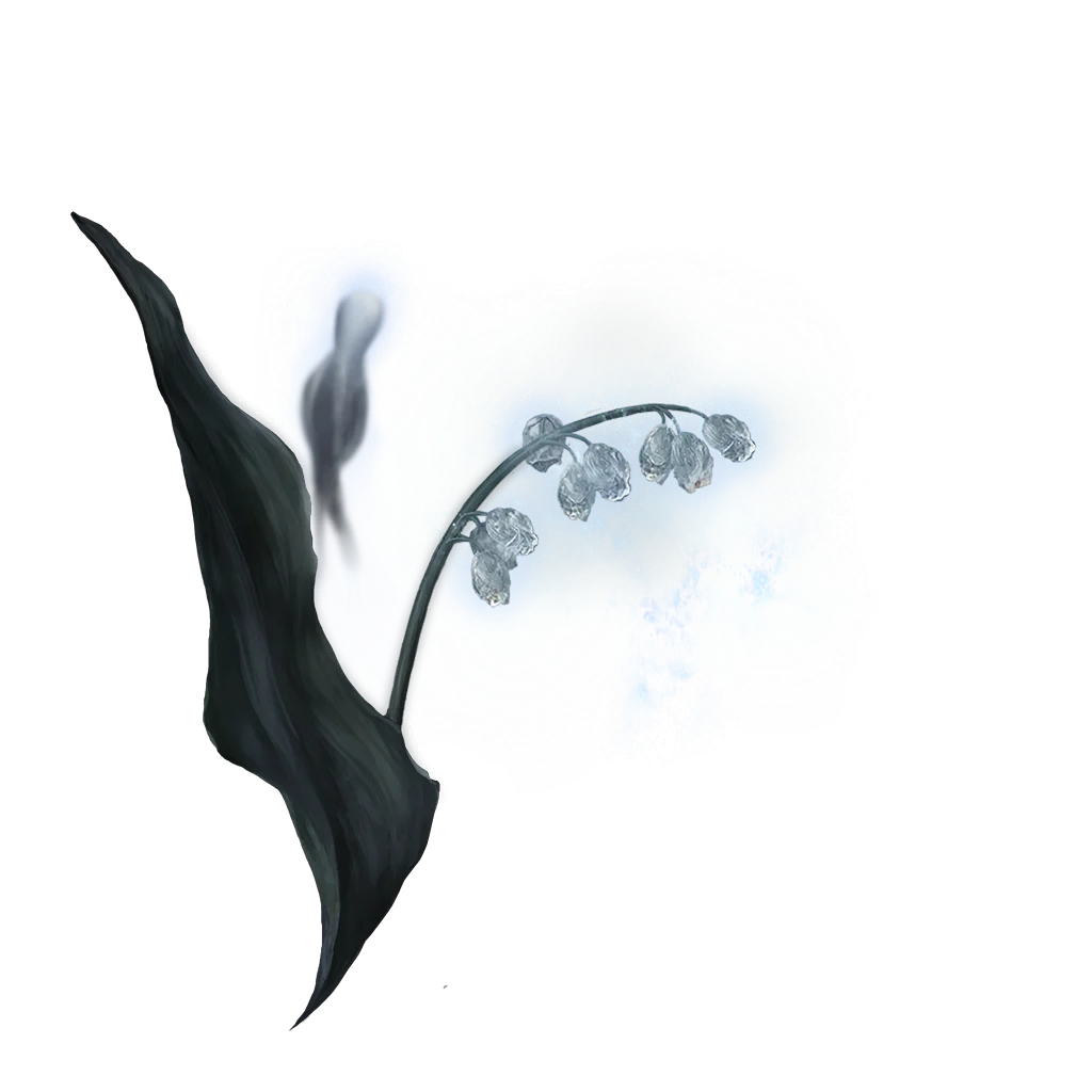 Ghost Glovewort [1]