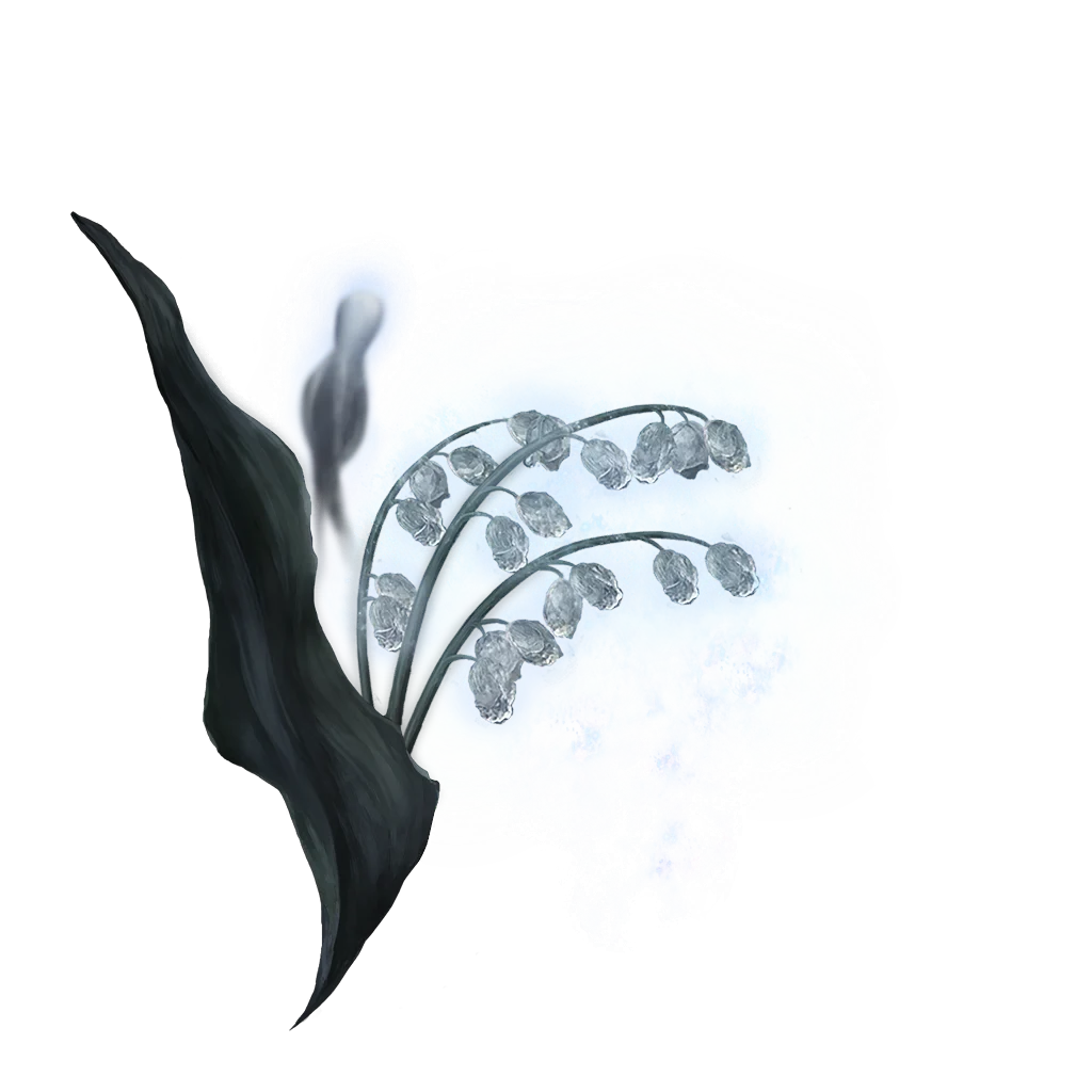 Ghost Glovewort [3]