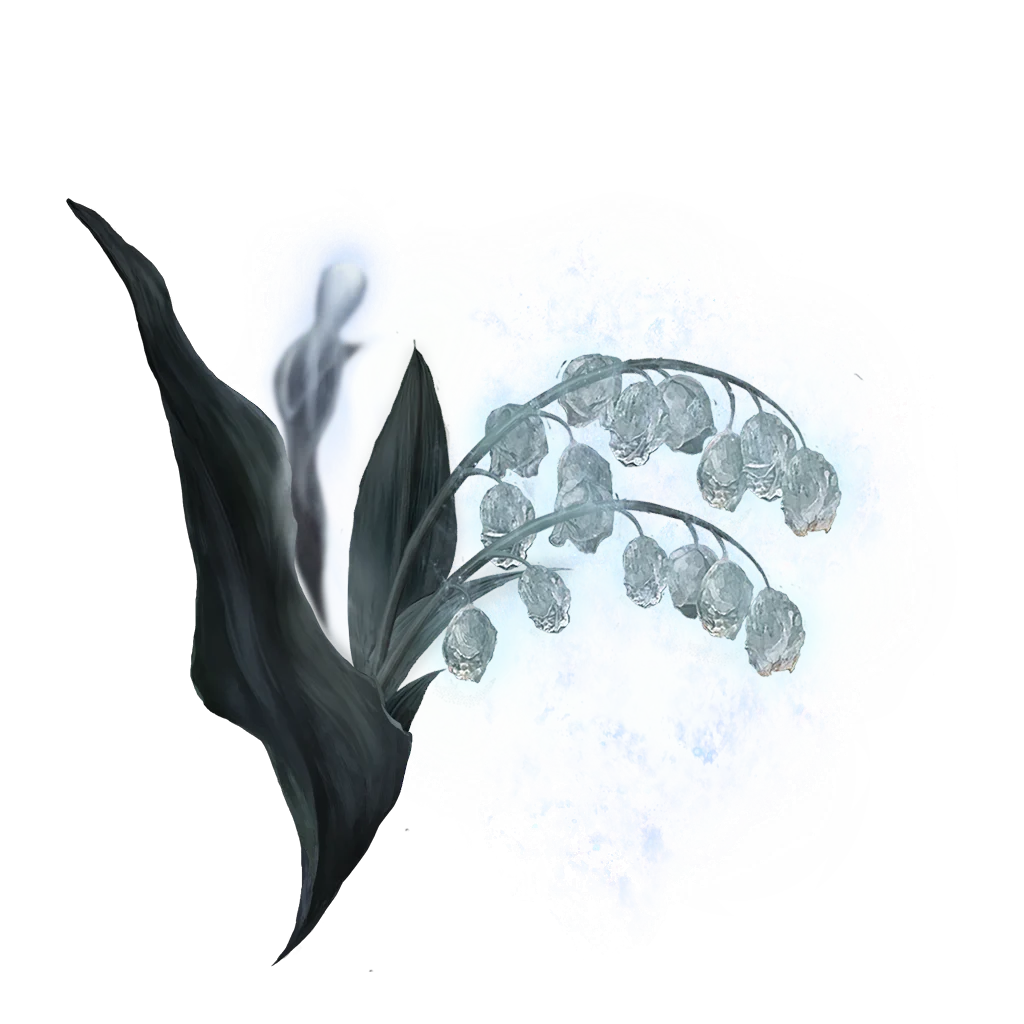 Ghost Glovewort [5]
