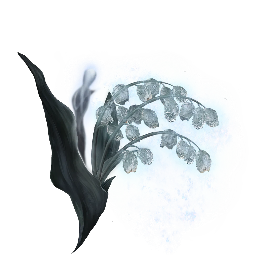 Ghost Glovewort [6]