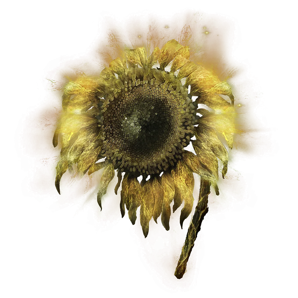 Golden Sunflower