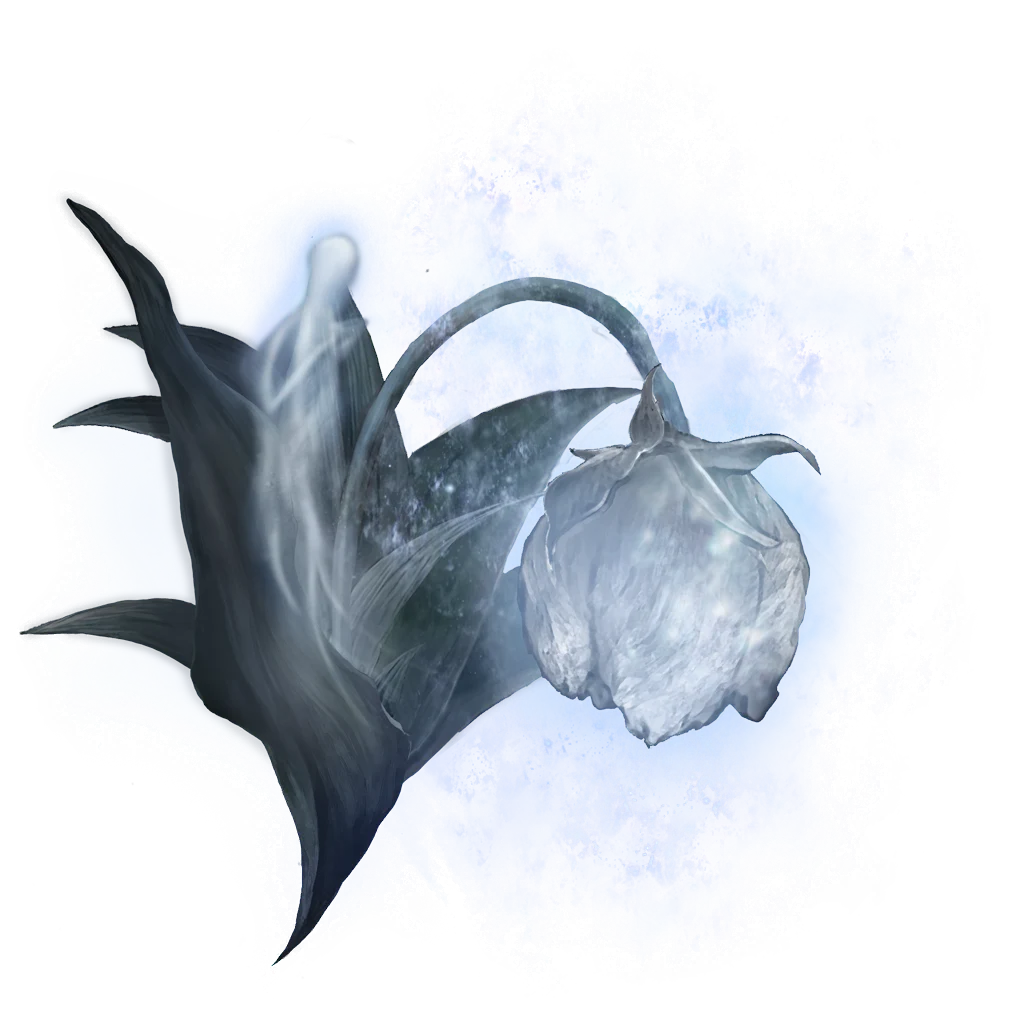 Great Ghost Glovewort