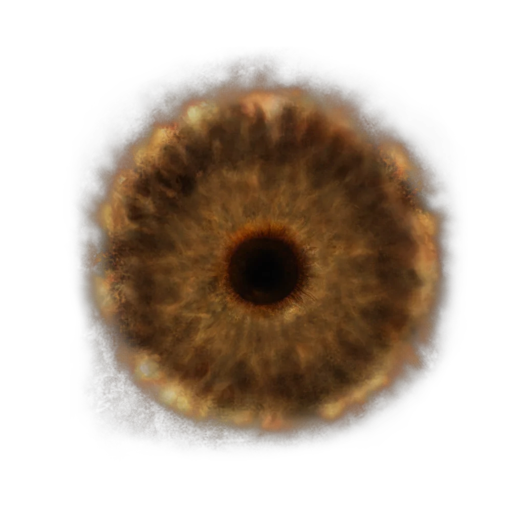 Lord's Rune